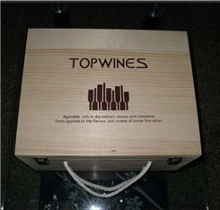 10.2Inch touch screencnc Graveur van de de PIJP de UVlaser van pvc van Lasermachines 1